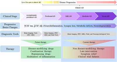 Alzheimers Disease: Targets for New Clinical Diagnostic and Therapeutic Strategies